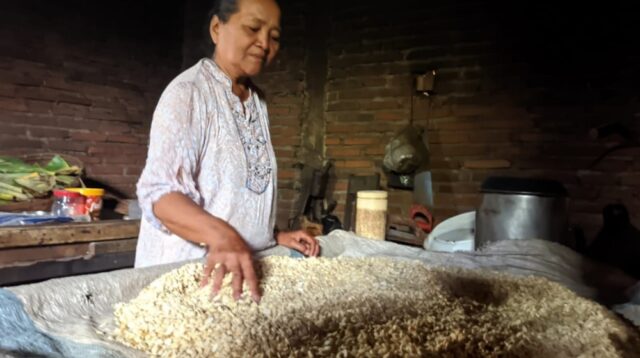 Soybean Prices Soar, Forcing Malang Tempe Producers to Shrink Portions and Keep Prices Affordable
