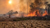 Indonesia Faces Longer and Drier Season in 2026 Due to El Nino