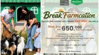 118. Whiz Prime BreakFarmcation package Whiz Prime Hotel Malang Launches BreakFarmcation School Holiday Package