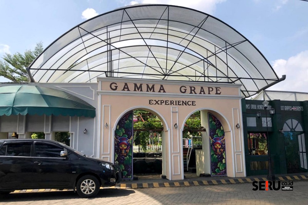 Discover 99 Grape Varieties at Gamma Grape Experience Pakis