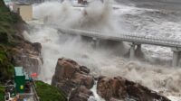 271. typhoon bavi china Typhoon Bavi Remnants Trigger Flooding After Record 340mm Rainfall in Northern China