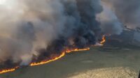 France and Spain Wildfires Force Over 200,000 Evacuations as Fires Threaten Bordeaux