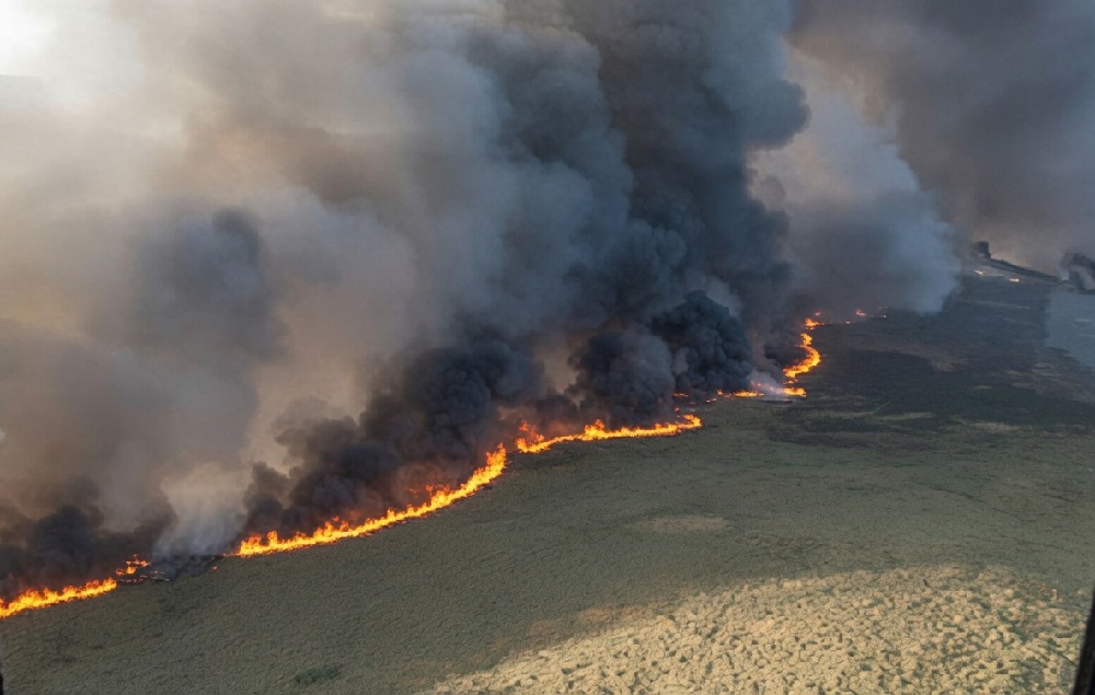 France and Spain Wildfires Force Over 200,000 Evacuations as Fires Threaten Bordeaux