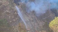 Bromo Forest Fire Area Shrinks No New Hotspots Detected on CCTV