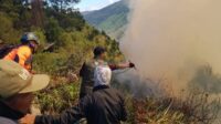 Bromo Forest Fire Spreads into Malang Regency Covering 50 Hectares