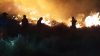 Bromo Tengger Semeru National Park Fully Closed Amid Spreading Forest Fires