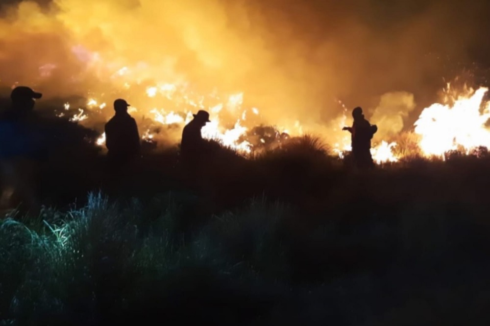 Bromo Tengger Semeru National Park Fully Closed Amid Spreading Forest Fires