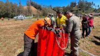 Wildfires Burn Over 742 Hectares in Bromo Tengger Semeru National Park