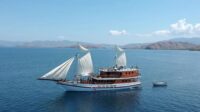 Sailing activities in Labuan Bajo Labuan Bajo Tourism Remains Open and Safe After Recent Earthquake