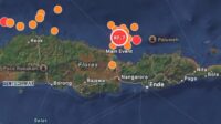 Flores Earthquake Death Toll Rises to 51 as Aftershocks Continue