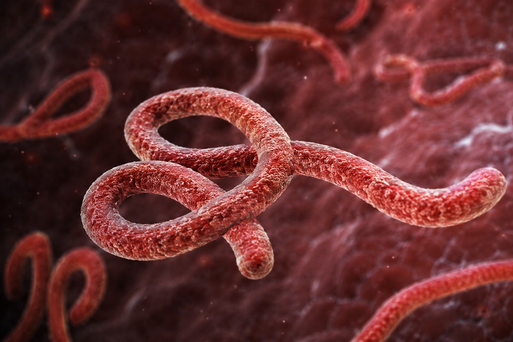 Ebola Cases in Congo Surpass 4,200 as Death Toll Exceeds 1,900