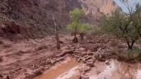 Grand Canyon Flash Flood Leaves Hikers Missing, 62 Evacuated