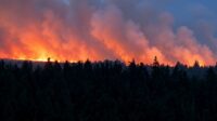 Belgium Battles Record Wildfire as Fires Kill Two in Greece