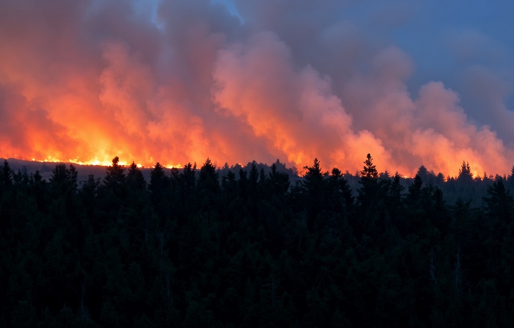 Belgium Battles Record Wildfire as Fires Kill Two in Greece