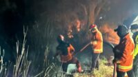 Fire Behind Bromo Hillside Cafe Fully Extinguished by Combined Teams