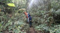 Evacuation of illegal hikers from Mount Semeru Illegal Semeru Hiker Rescued Safely from Limpak Peak Area