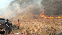 Fire-extinguishing operations in the Mount Bromo area Mount Bromo Tourism Closed Completely Due to Expanding Forest Fire